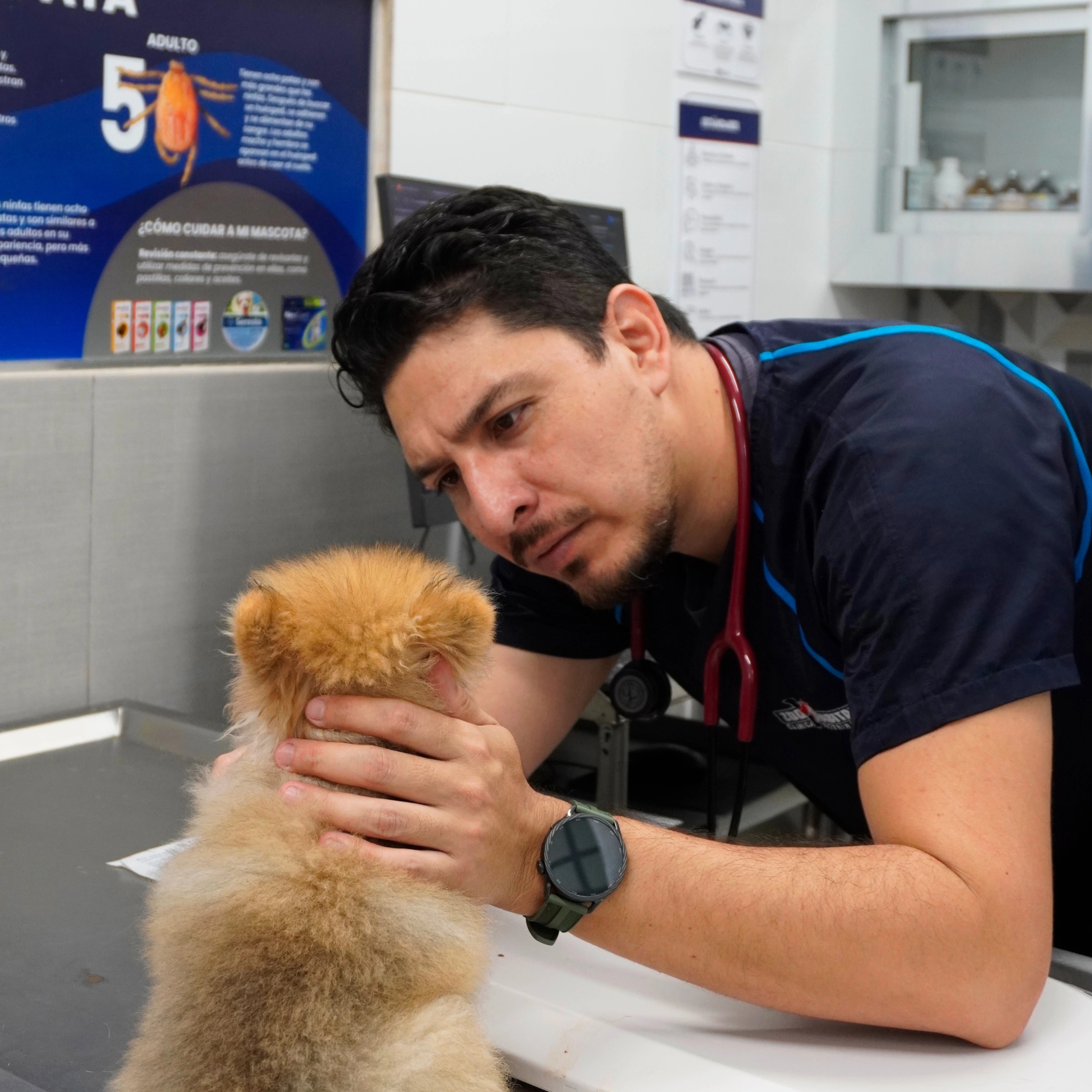 Veterinaria Zoohabitat bienvenida