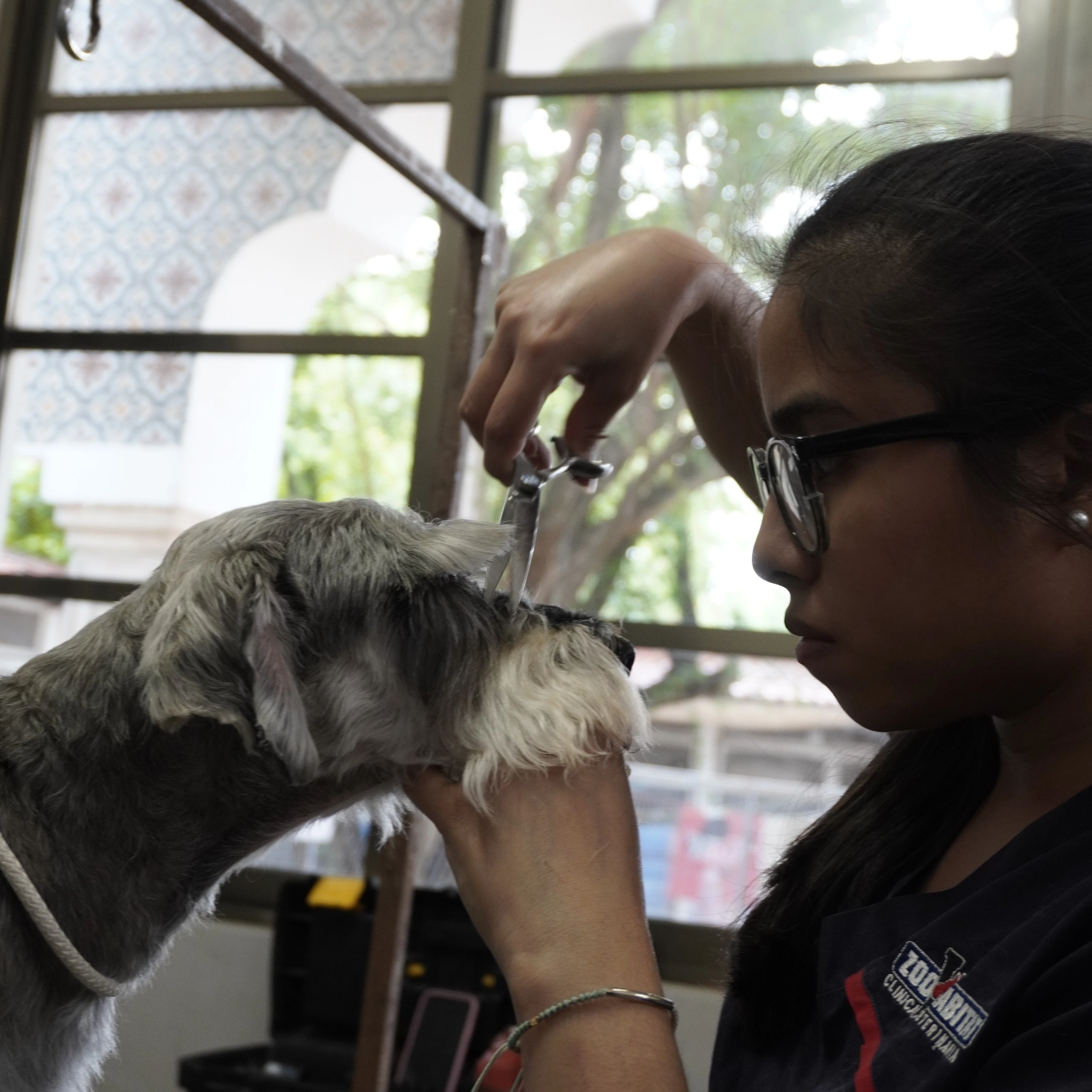Veterinaria Zoohabitat bienvenida